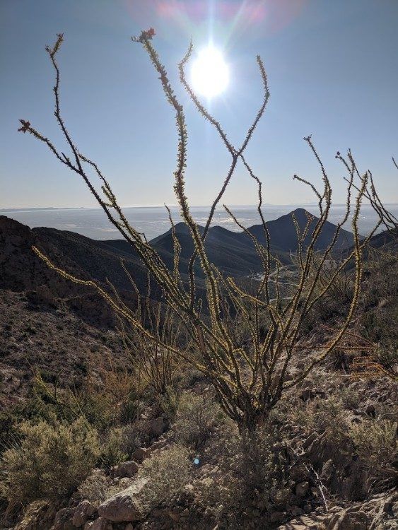 Franklin Mountains overview