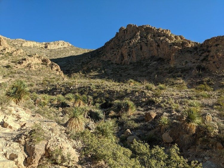 McKelligon Canyon in the morning