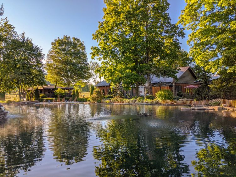 The pond at Scottland Yard