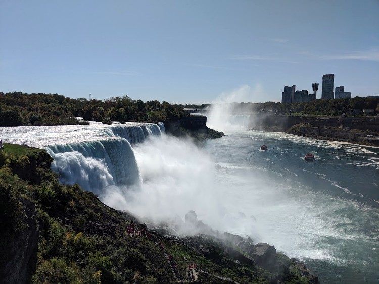 can dogs go to niagara falls canada