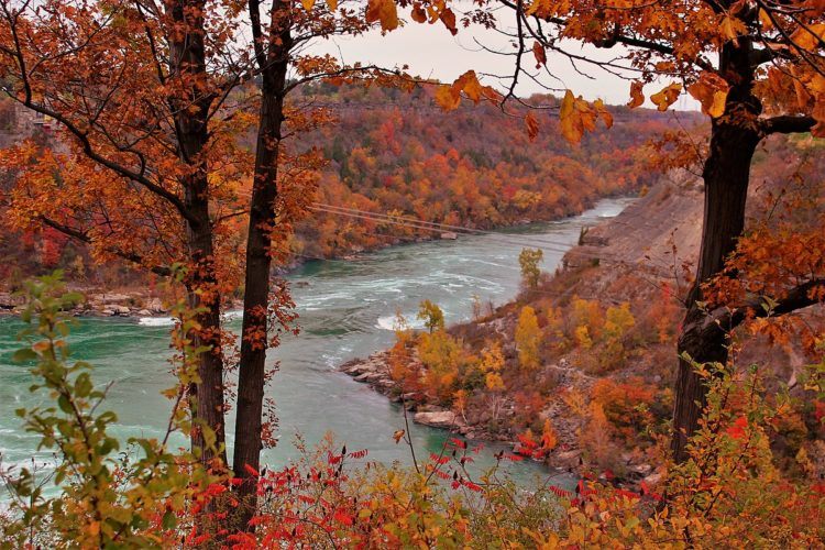 niagara falls river gorge in herfst