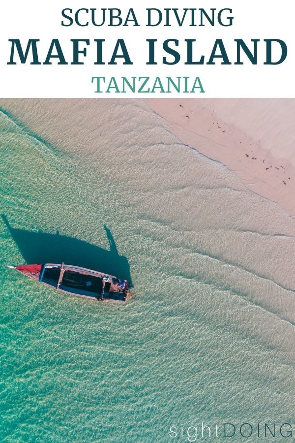 mafia island diving tanzania
