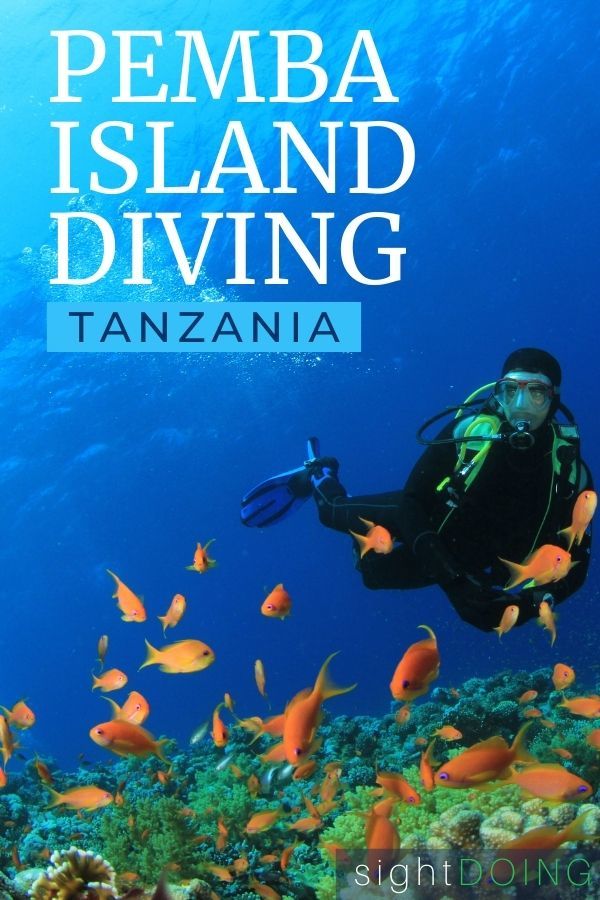 pemba island diving tanzania