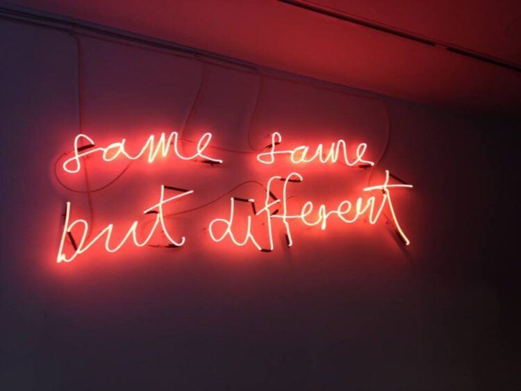 same same but different neon sign