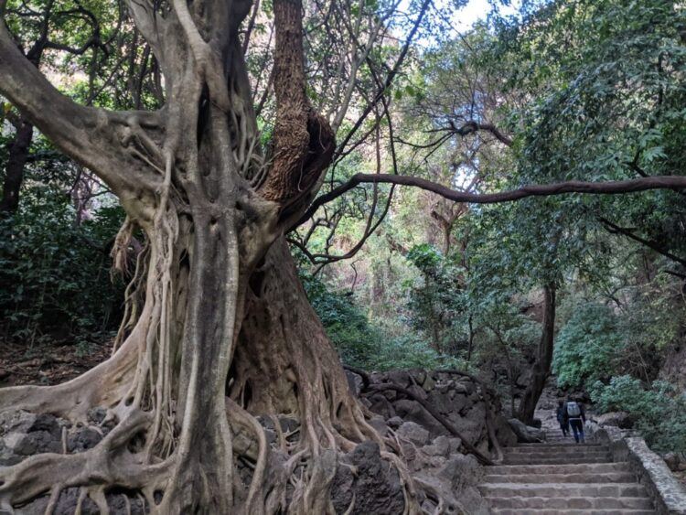 stairway to tepozteco