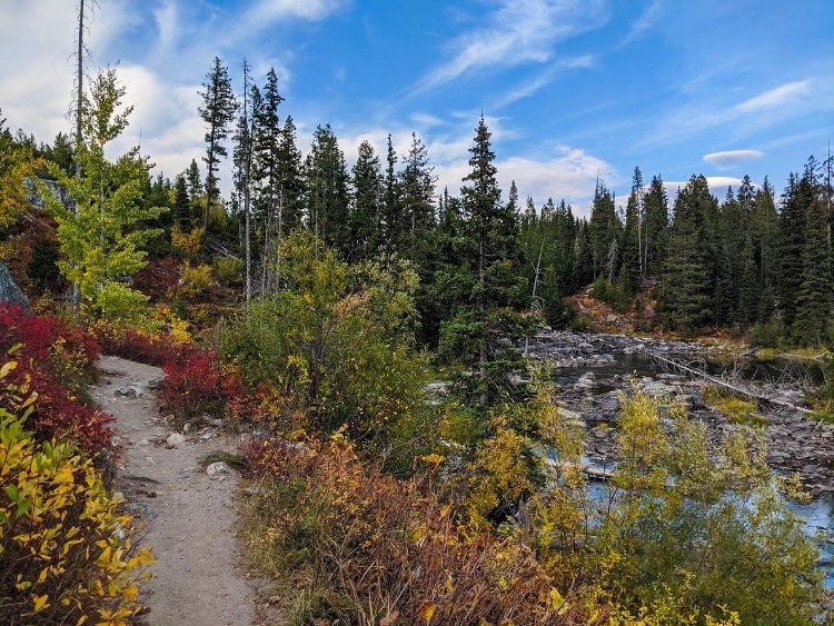 trail near jenny lake tetons