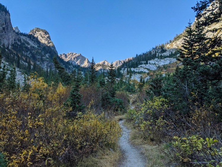 paintbrush canyon trail tetons