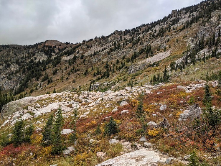 fall colors on mountainside