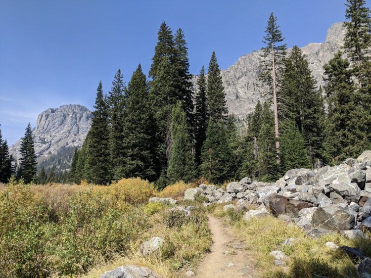 trail in mountains