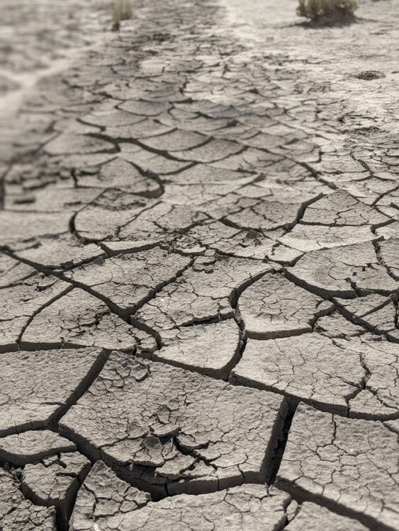 ground at bisti badlands