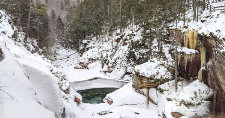 pool of water near snowbanks