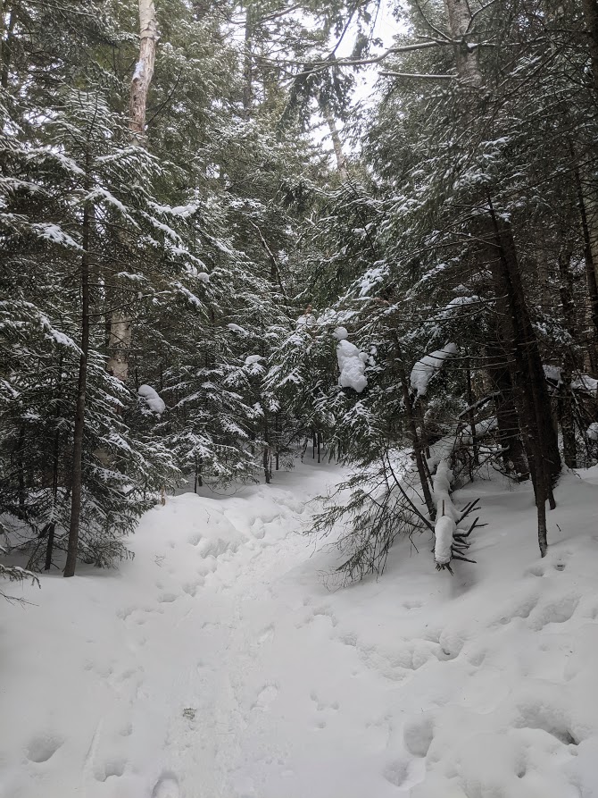 4 Winter Hikes in Franconia Notch State Park — sightDOING