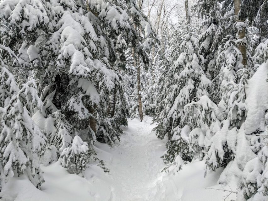 4 Winter Hikes in Franconia Notch State Park — sightDOING
