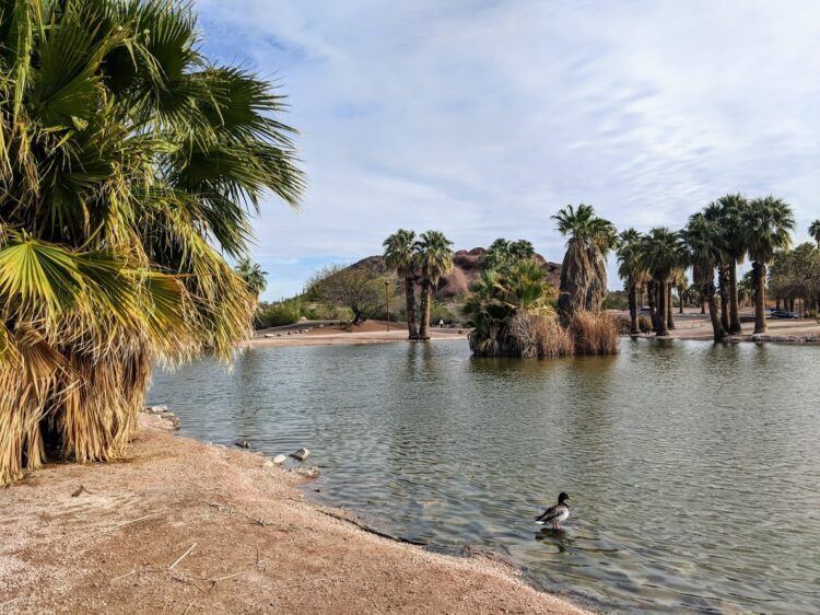 papago park lagoon