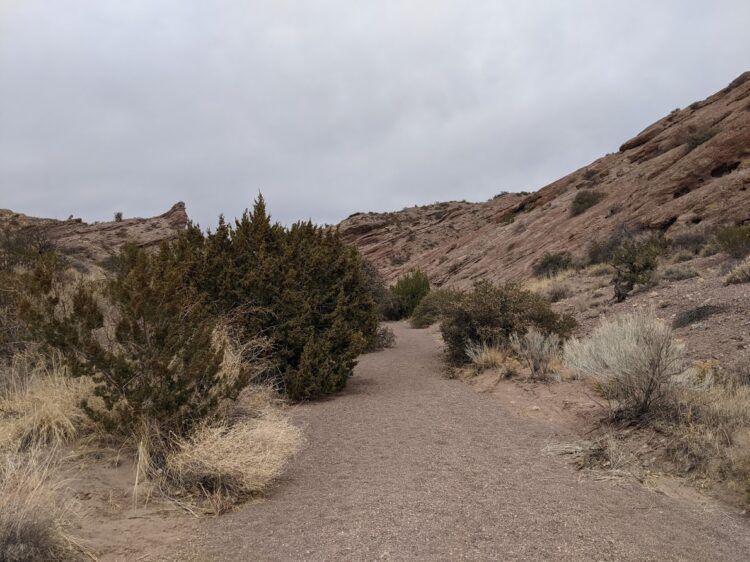 dirt trail in san lorenzo canyon