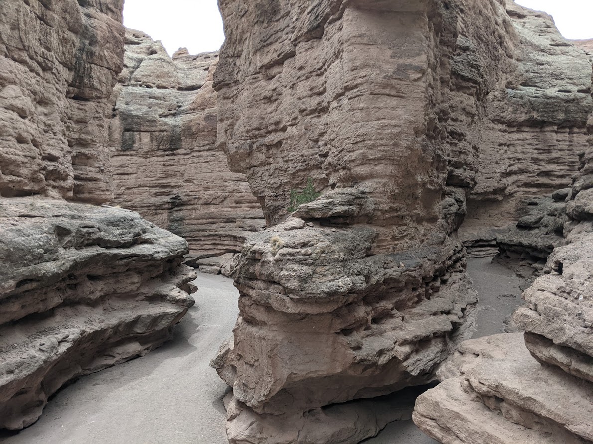 Hiking the San Lorenzo Canyon in 24 Pictures — sightDOING