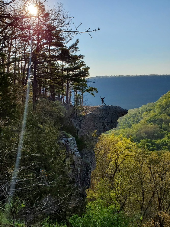 hawksbill crag arkansas