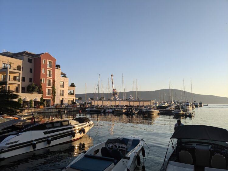 The harbor in Porto Montenegro