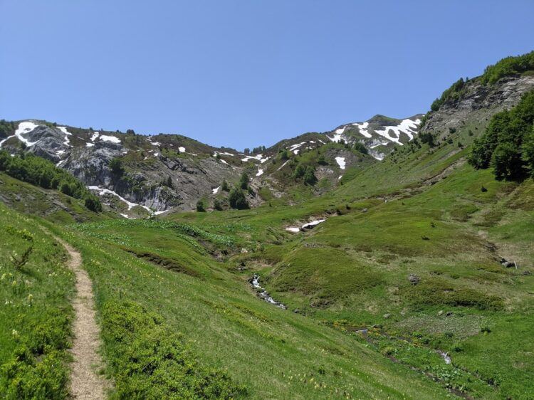 meadow in prokletije national park montenegro