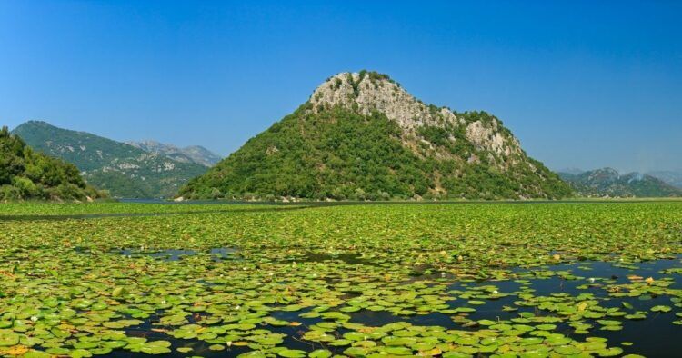 skadar lake montenegro