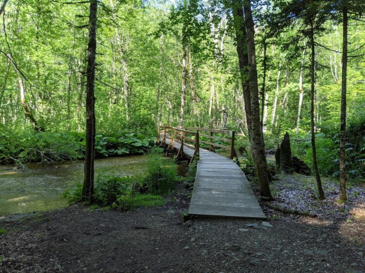 boardwalk trail