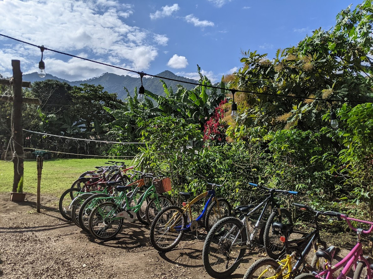 bikes and volleyball at finca la azotea