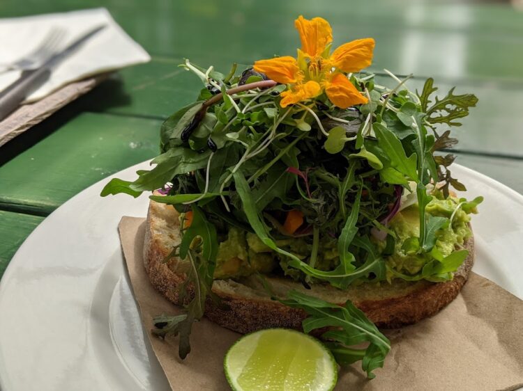 avocado toast at caoba farms antigua