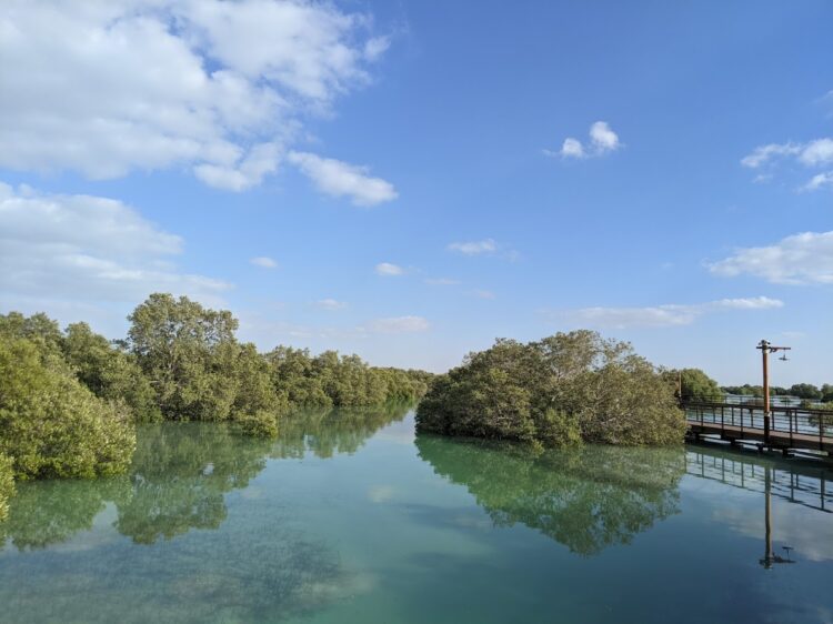 jubail mangrove park