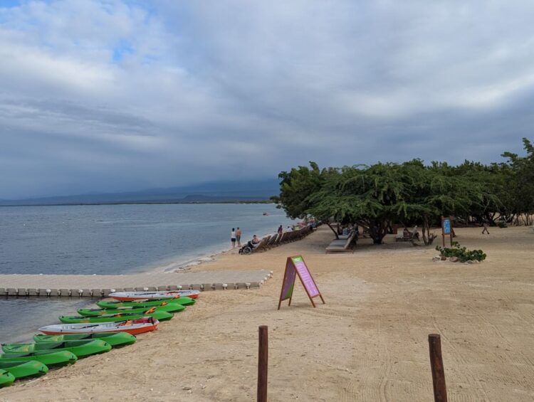 kayaks on the sand at baby beach
